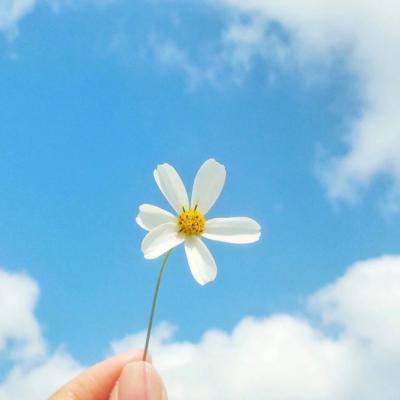 火狐电竞·huohuapp下载