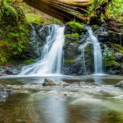 Im体育官方截图