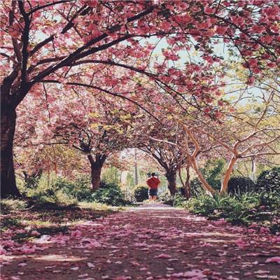 新澳门六开彩资料大全下载手机版