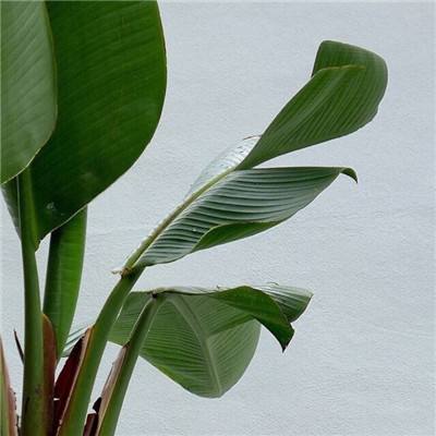 金沙官方登录入口