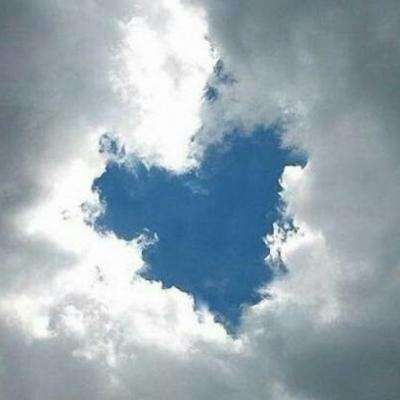 博鱼app下载手机版