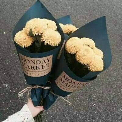 开元ky7818老版本截图