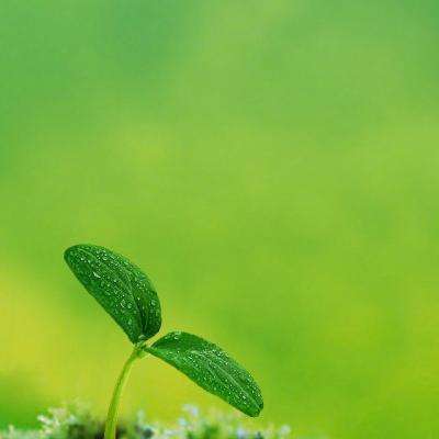 星空下载站官网手机app下载