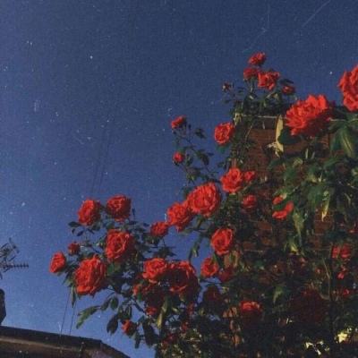 m6米乐手机登陆入口