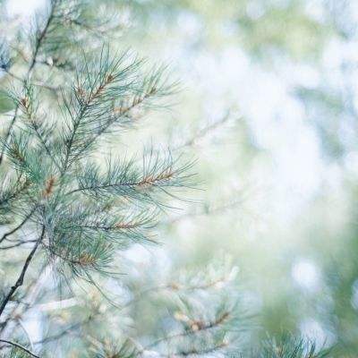 金年会官网手机版下载