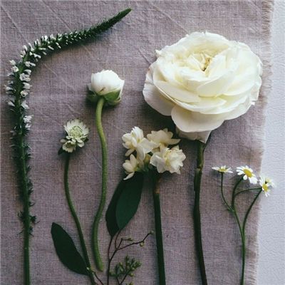 波胆app官网app下载