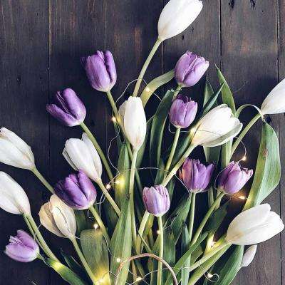 爱游戏comapp下载