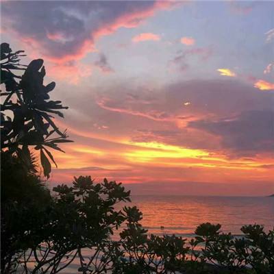 开云集团下载手机版