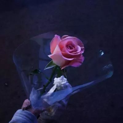 南宫体育app下载