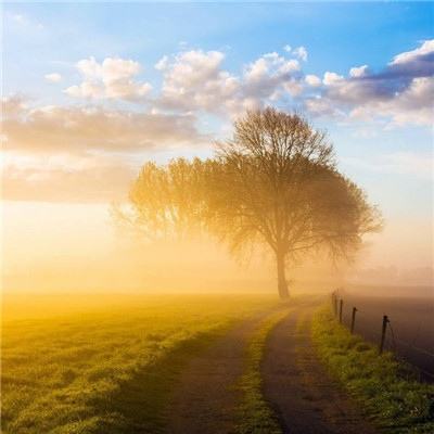 云开·(kaiyun)官方网站